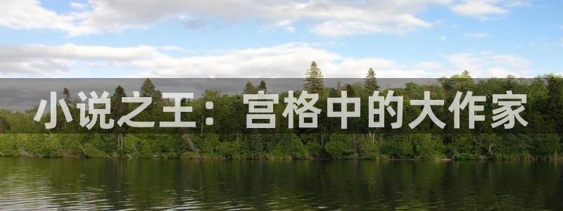 斗破苍穹小说笔趣书阁：小说之王：宫格中的大作家