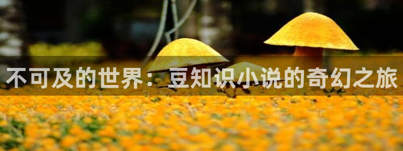 笔趣书下：不可及的世界：豆知识小说的奇幻之旅