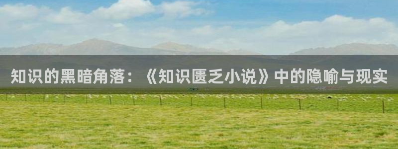 笔趣书笔趣阁：知识的黑暗角落：《知识匮乏小说》中的隐喻与现实