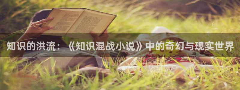 类似趣书网宝书网的网站：知识的洪流：《知识混战小说》中的奇幻与现实世界