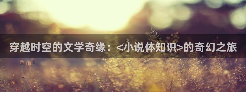 笔趣书阁免费小说 app：穿越时空的文学奇缘：<小说体知识>的奇幻之旅