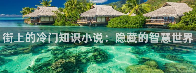 好看男生小说趣书网：街上的冷门知识小说：隐藏的智慧世界