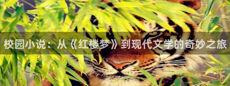 暗河长明txt趣书网：校园小说：从《红楼梦》到现代文学的奇妙之旅
