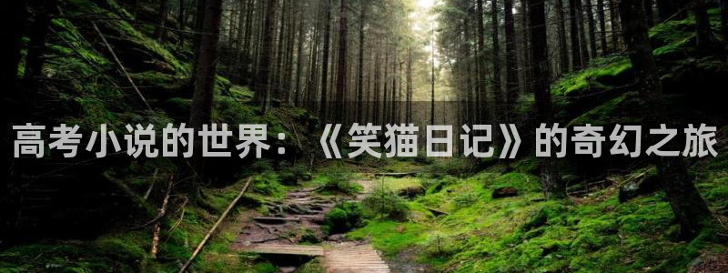 趣书网宝书网：高考小说的世界：《笑猫日记》的奇幻之旅