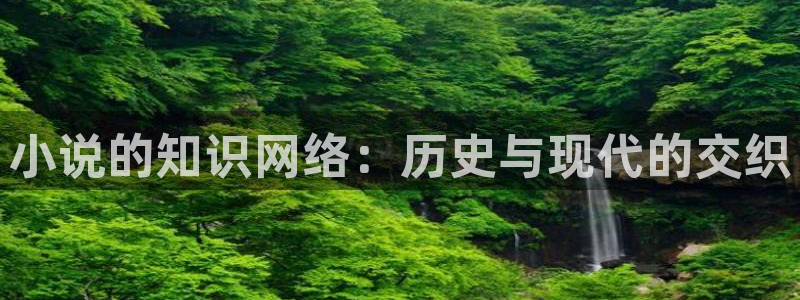 笔趣书阁小说免费：小说的知识网络：历史与现代的交织