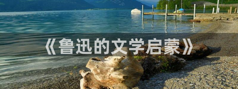 笔趣书阁免费：《鲁迅的文学启蒙》