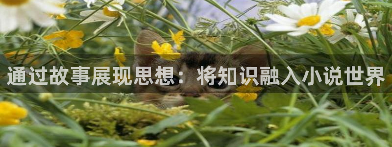 笔趣书阁app下载：通过故事展现思想：将知识融入小说世界