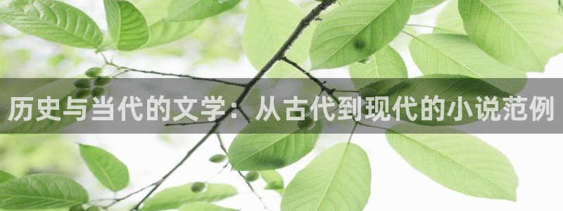 趣书网小说免费阅读：历史与当代的文学：从古代到现代的小说范例