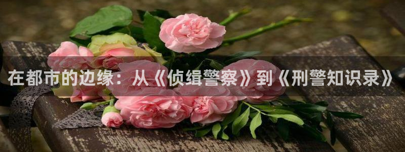 趣书网txt手机下载网站：在都市的边缘：从《侦缉警察》到《刑警知识录》