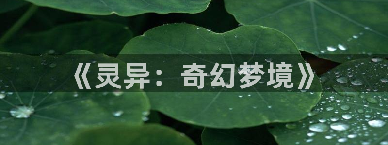笔趣书阁无广告纯净版：《灵异：奇幻梦境》