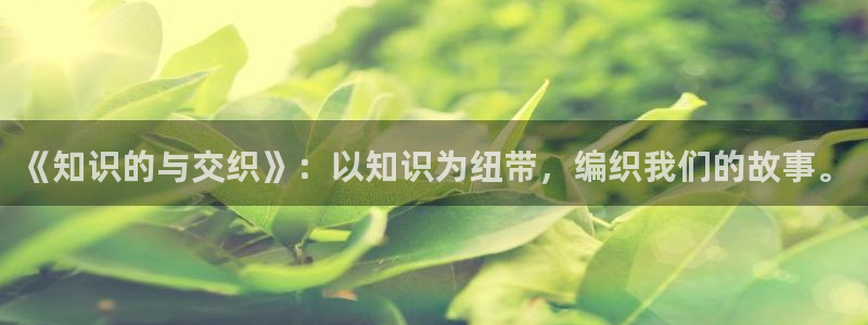 笔趣书阁红色版：《知识的与交织》：以知识为纽带，编织我们的故事。