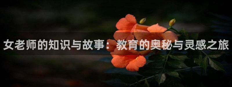 趣书宝书网：女老师的知识与故事：教育的奥秘与灵感之旅