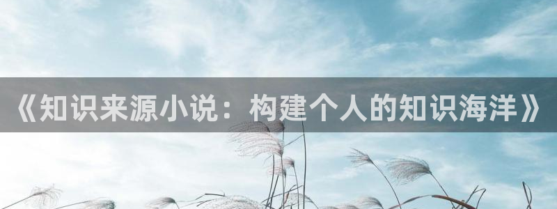 笔趣书阁无广告纯净版：《知识来源小说：构建个人的知识海洋》