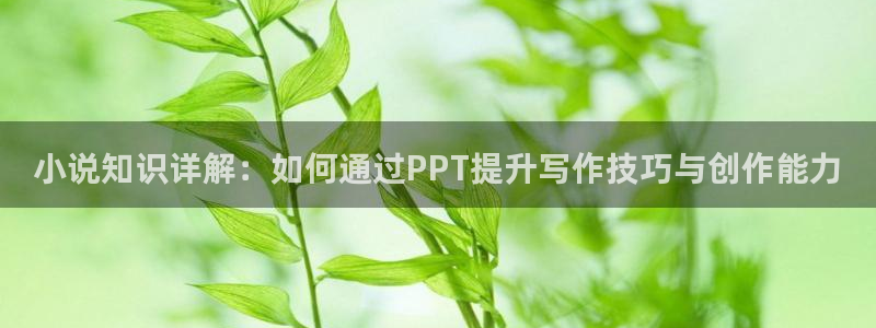 笔趣书阁红色版：小说知识详解：如何通过PPT提升写作技巧与创作能力