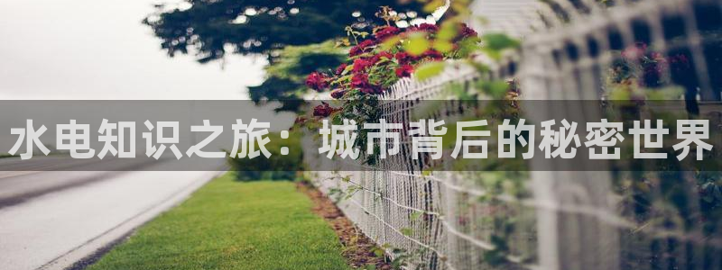 笔趣书阁高h：水电知识之旅：城市背后的秘密世界