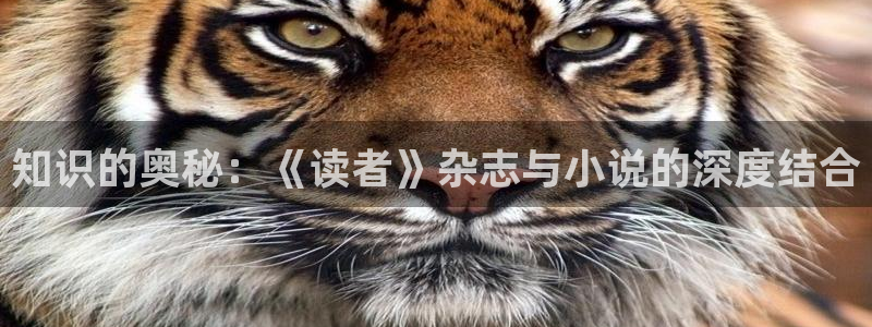 类似趣书网宝书网的网站：知识的奥秘：《读者》杂志与小说的深度结合