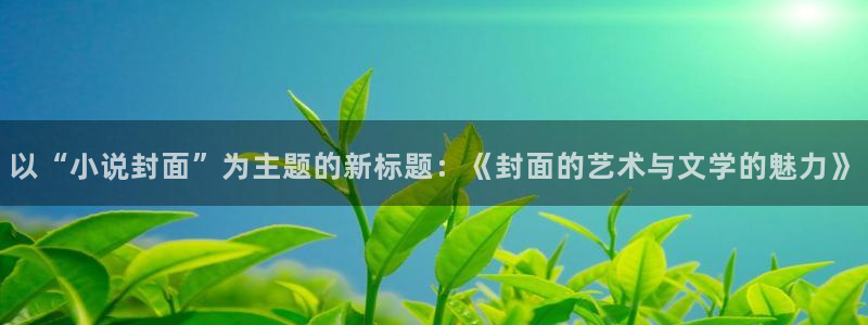 笔趣书阁红色版：以“小说封面”为主题的新标题：《封面的艺术与文学的魅力》