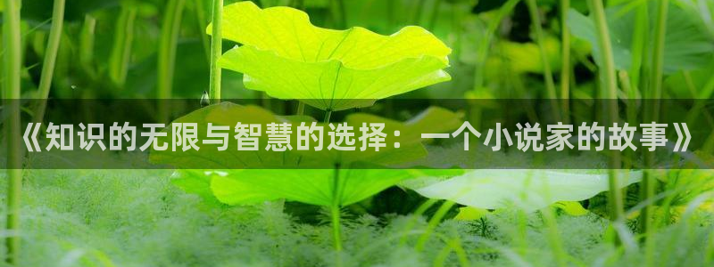高度契合txt趣书网：《知识的无限与智慧的选择：一个小说家的故事》