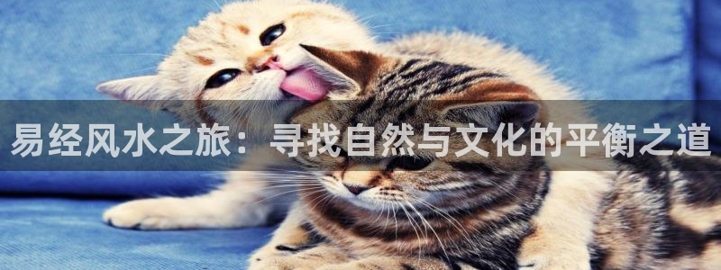 笔趣书阁软件下载：易经风水之旅：寻找自然与文化的平衡之道